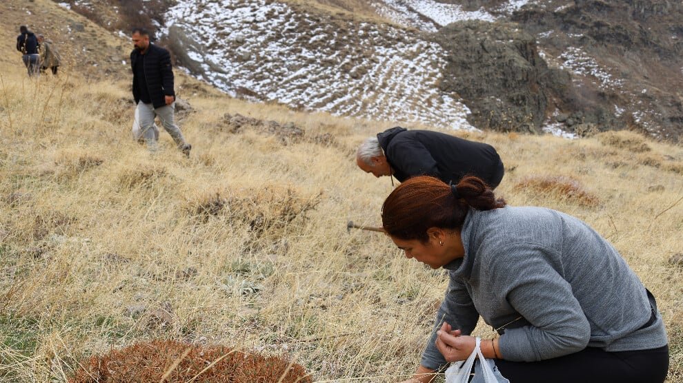 30.000 eikels geplant in Gimgim