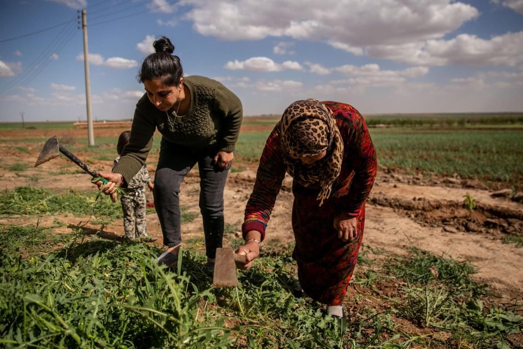 Rojava: Vrouwen spelen een leidersrol in de economie