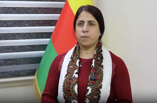 Medevoorzitter van TEV-DEM: We zullen nooit een stap terug doen