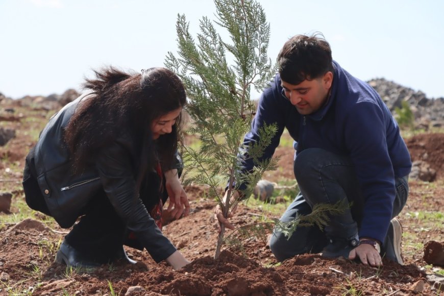 500 bomen geplant op de Mishta Nur-heuvel ter gelegenheid van de verjaardag van Abdullah Öcalan