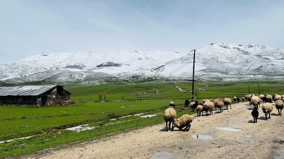Verzet tegen een tweede verdrijving: Verdedig water en land