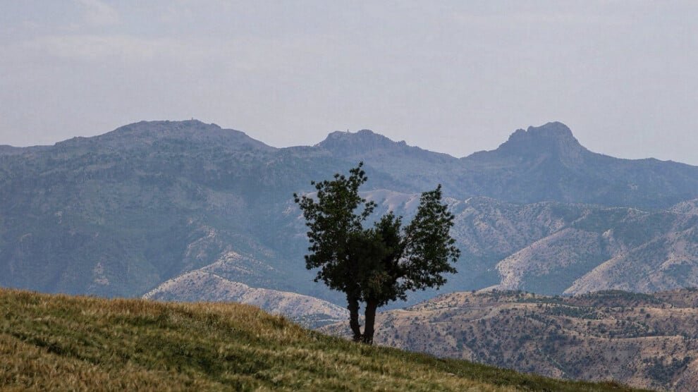 Güneş: „Een grootschalige oorlog tegen de natuur“
