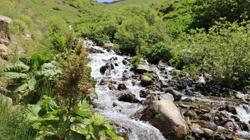 Het Kox- en Şerefdîn-gebergte: tussen veeteelt en grondstofbelangen