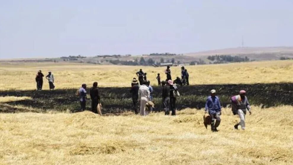 Branden verwoesten in Hesekê meer dan 117 hectare akker- en weideland