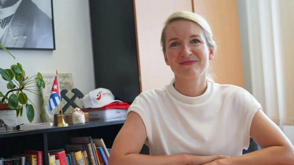 Medevoorzitter van Die Linke: Öcalan en alle politieke gevangenen moeten worden vrijgelaten
